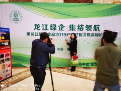哈尔滨绿博会黑龙江电视台记者采访