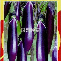 茄子种：精选紫长茄