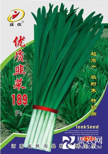 优质韭菜189F1种子