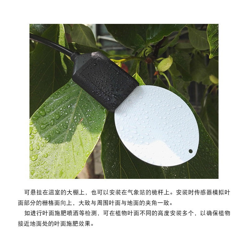 叶面湿度传感器，叶面温湿度传感器，叶面水分传感器，树叶传感器