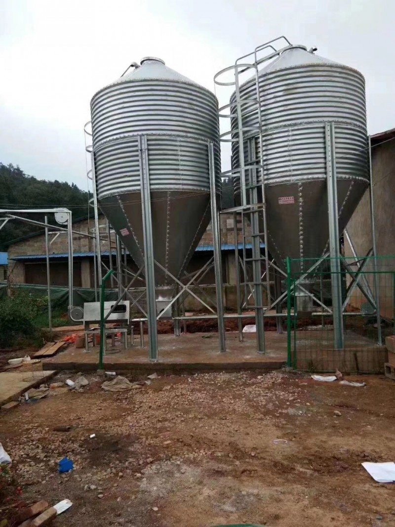 猪舍料线 养猪设备镀锌料塔 养殖自动上料供料设备